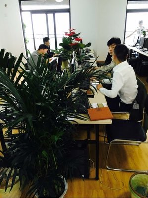武漢金誠匯譽商務信息咨詢 專業賦能企業決策與成長