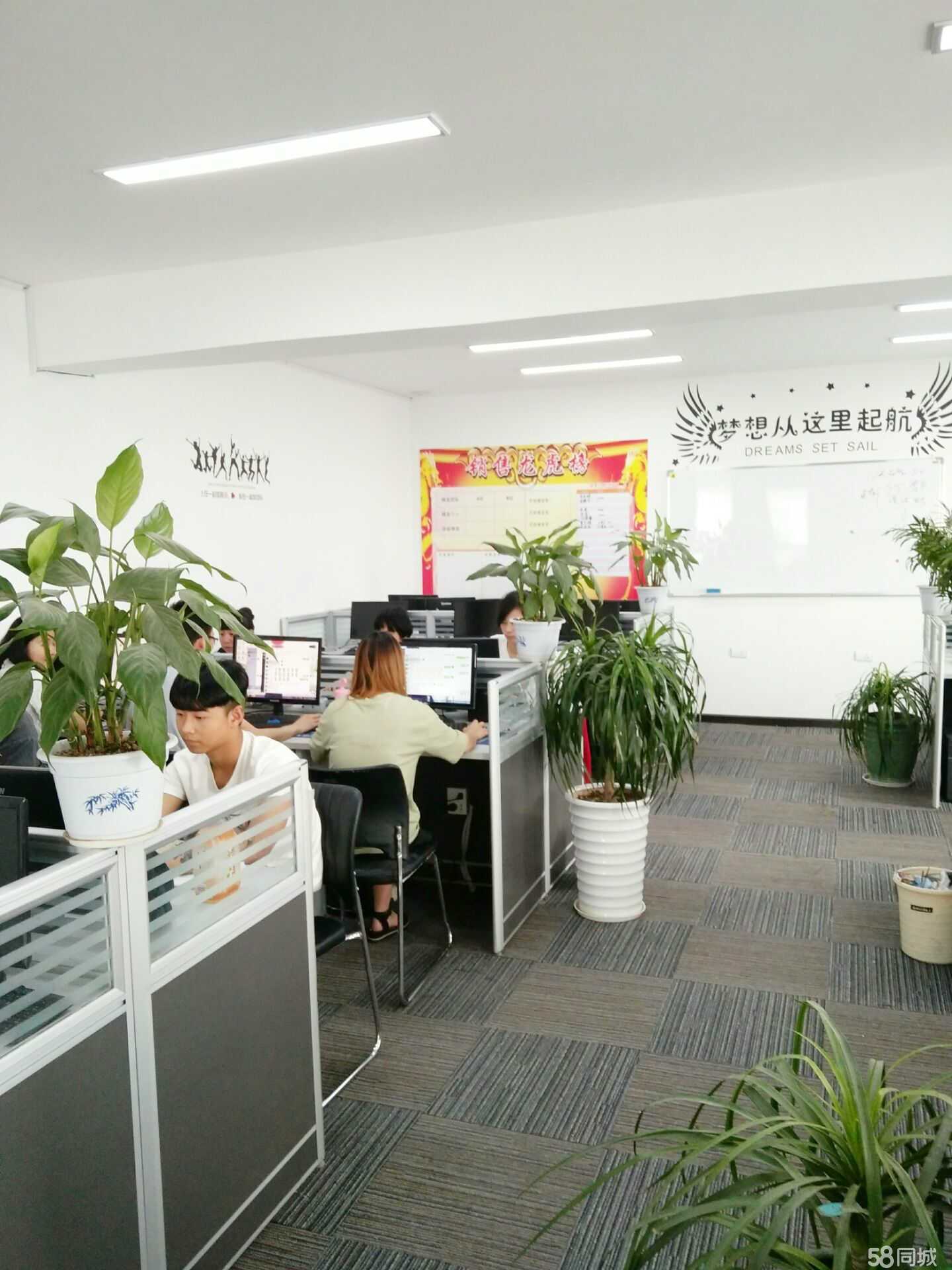 襄陽聯創壹家 以專業商務咨詢賦能區域經濟發展